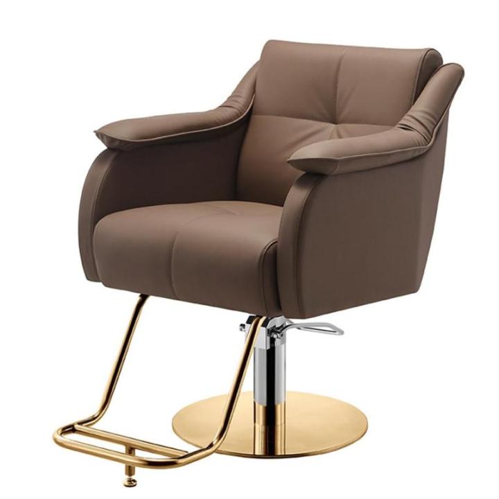 Klassieke Moderne Professionele Kapper Stoel Met 360 ° Hydraulische Pomp Voor Haar Stylist Kapperszaak Beauty Spa Thuis Salon Styling Apparatuur