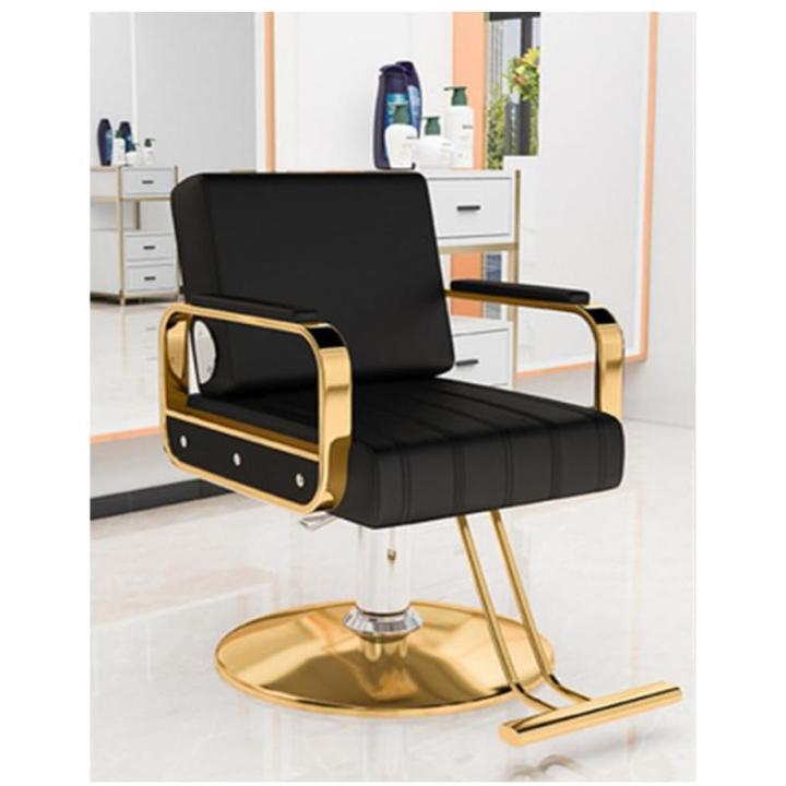 Kappersstoel Voor Thuis En Professionele Kapsalon, Kappersstoel Met Draai- En Hydraulische Pomp, Verstelbare Haarstyling Schoonheidsstoel,Goud,B