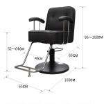 Kappersstoel, Salonstoel Voor Haarstylist, Kapsalonstoel, 360 Graden Draaibare Stylingstoel, in Hoogte Verstelbare Hydraulische Shampoo Stoel,Grijs