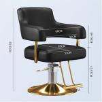 Salonstoel Voor Haarstylist, Styliststoel Met Zware Hydraulische Pomp, 360 Graden Draaibare Spa-Schoonheidsuitrusting Voor Haarstylist, Vrouwen En Mannen,Dark gray,C