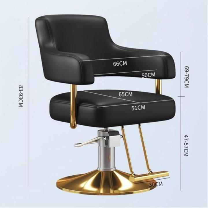 Salonstoel Voor Haarstylist, Styliststoel Met Zware Hydraulische Pomp, 360 Graden Draaibare Spa-Schoonheidsuitrusting Voor Haarstylist, Vrouwen En Mannen,Dark gray,C