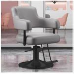 Salonstoel Voor Haarstylist, Styliststoel Met Zware Hydraulische Pomp, 360 Graden Draaibare Spa-Schoonheidsuitrusting Voor Haarstylist, Vrouwen En Mannen,Dark gray,C