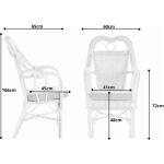 Wintertuin fauteuil Harry armleuning stoel met hoge rugleuning rotan stoel wintertuin stoel (wit)