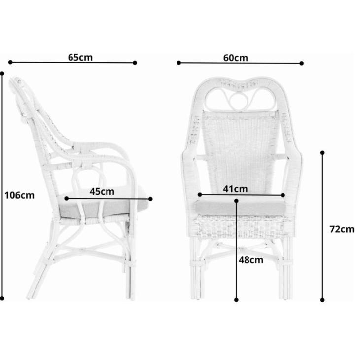 Wintertuin fauteuil Harry armleuning stoel met hoge rugleuning rotan stoel wintertuin stoel (wit)