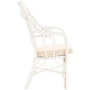 Wintertuin fauteuil Harry armleuning stoel met hoge rugleuning rotan stoel wintertuin stoel (wit)