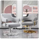 Salonstoel Voor Haarstylist, Styliststoel Met Zware Hydraulische Pomp, 360 Graden Draaibare Spa-Schoonheidsuitrusting Voor Haarstylist, Vrouwen En Mannen,Dark gray,C