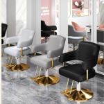 Salonstoel Voor Haarstylist, Styliststoel Met Zware Hydraulische Pomp, 360 Graden Draaibare Spa-Schoonheidsuitrusting Voor Haarstylist, Vrouwen En Mannen,Dark gray,C