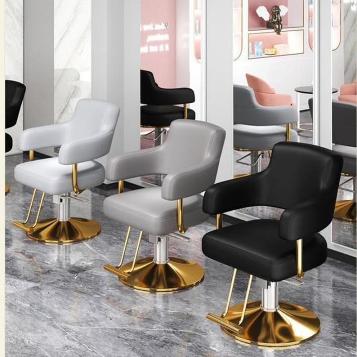 Salonstoel Voor Haarstylist, Styliststoel Met Zware Hydraulische Pomp, 360 Graden Draaibare Spa-Schoonheidsuitrusting Voor Haarstylist, Vrouwen En Mannen,Dark gray,C