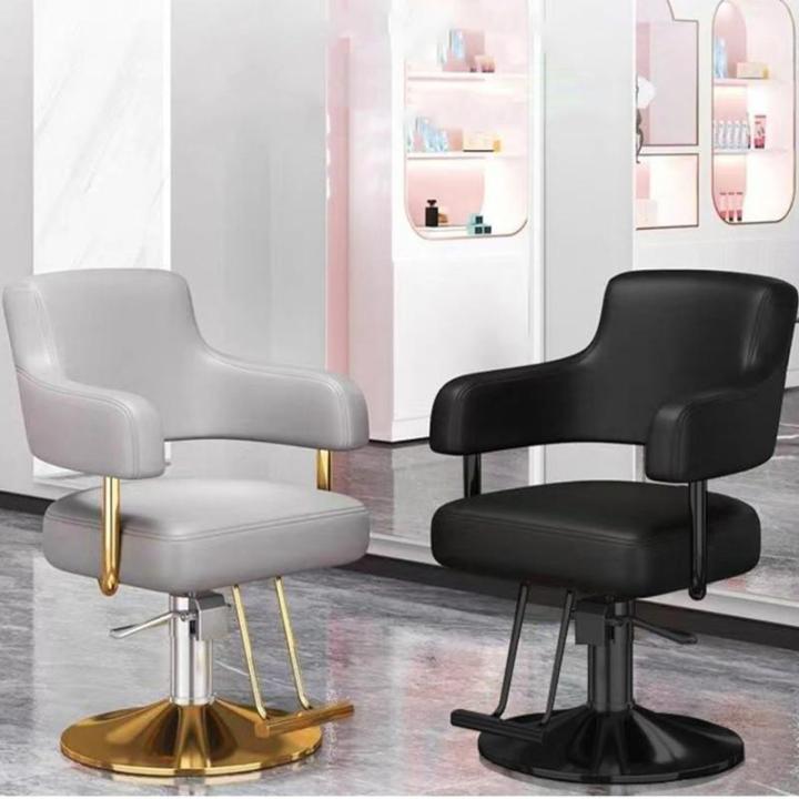 Salonstoel Voor Haarstylist, Styliststoel Met Zware Hydraulische Pomp, 360 Graden Draaibare Spa-Schoonheidsuitrusting Voor Haarstylist, Vrouwen En Mannen,Light gray,B